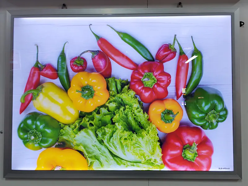 Light Boxes